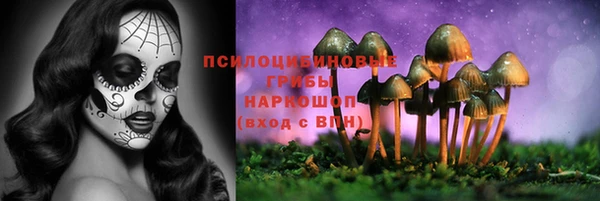 ALPHA PVP Надым