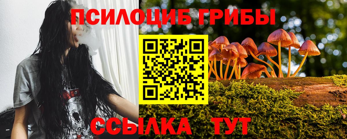 Галлюциногенные грибы GOLDEN TEACHER  Вход с VPN  Новороссийск  Галлюциногенные грибы MAGIC MUSHROOMS 