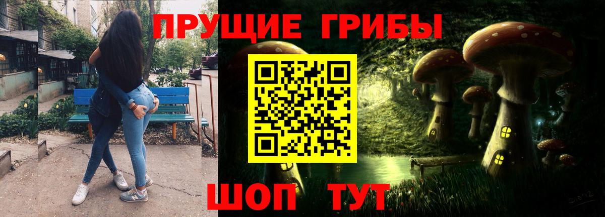 Галлюциногенные грибы прущие грибы Новороссийск
