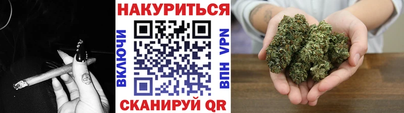 kraken зеркало  Новороссийск  Шишки марихуана SATIVA & INDICA 